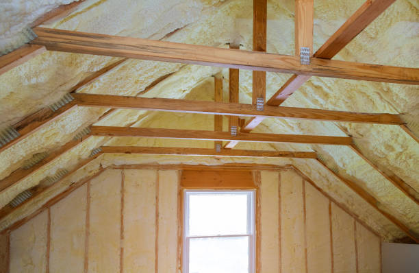 Best Geographic-Specific Insulation Services in Elizabeth Lake, CA