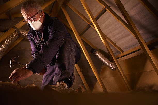 Best Eco-Friendly Insulation in Elizabeth Lake, CA